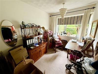 Picture 11
